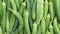 Selective focus view of Okra Ladyfinger vegetable