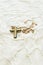 Selective focus view of vintage pearl cross pendant on gold chain