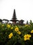 Selective focus of yellow flower green plant at Pura Ulun Danu Beratan hindu Shiva water temple Bedugul Bali Indonesia