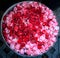 Selective focused on bowl with red and pink garden rose flower petals art on water, adding room fresh air. Traditional Asian Thai