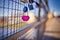 Selective shot of blue and pink heart-shaped love padlocks, locked to fence,concept of eternity love