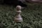 Selective shot of a white piece of chess on a green surface-concept: the one who stands alone