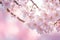 Selective soft focus flowering cherry tree branch with pink flowers on blurred pink and green background, ai generative