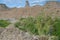 Selective view of cacti plant in Badlands National Park in South Dakota, USA