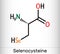 Selenocysteine, L-selenocysteine, Sec, U molecule. It is proteinogenic amino acid, selenium analogue of cysteine, building block