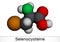 Selenocysteine, L-selenocysteine, Sec, U molecule. It is proteinogenic amino acid, selenium analogue of cysteine, building block