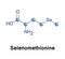 Selenomethionine amino acid