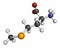 Selenomethionine amino acid molecule. Selenium containing natural analog of methionine. Atoms are represented as spheres with