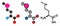Selenomethionine amino acid molecule. Selenium containing natural analog of methionine. Stylized 2D renderings and conventional