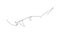 Self drawing simple animation of continuous one line drawing of Hammerhead Shark. Hammerhead single line drawing by hand