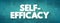 Self-efficacy is an individual\\\'s belief in their capacity to act in the ways necessary to reach specific goals, text concept