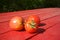 Self-grown tomatoes Outdoor Red wooden table