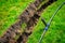 Self-installation of irrigation with a retractable sprinkler in the finished lawn. Laying water pipes with sprayers under the lawn