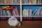 Self-made stuffed toy mouse in front of a colorful chaotic bookshelf . Reading mouse with blue eyes , mustache hair and hangdog