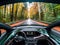 Selfdriving car cruising through forest with AI windshield