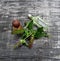 Selfheal or Prunella vulgaris plants and bottle of essential oil with eucalyptus seed pod cap