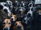 selfie of a group of dogs. ai generative