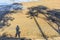 Selfie shadow of single female & tree shadows on beach