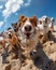 selfie time capsule, ultra realistic, different breeds of animals smiling at the camera,sandy beach,