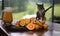 Selfmade orange juice and sliced oranges with cat in background