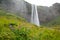 Seljalandsfoss waterfall and meadow flowers, Iceland