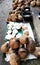 sell coconuts that have been peeled finished or still with the skin