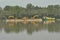 Sell construction and vehicles transported by river barge, with a high water level in the river