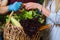 Seller and the buyer with a basket of vegetables