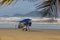 A seller of clothes, balls, swimwear and umbrellas walks on yarn of the Atlantic Ocean in Brazil. Paradise beach with palm trees