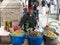 The seller offers the olives their own pickles in the eastern bazaar in the old city of Nazareth in Israel