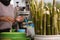 a seller of sugar cane juice drinks