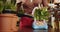 The seller waters the plant. Caucasian female assistant working with flowers in pots in flower shop of plant shop