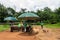 Sellers of feed in the monkey town in Hainan Tropical Wildlife P