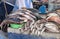 Selling fish in the market. Close-up. Ecuador.