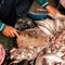 Selling fish at traditional asian seafood marketplace in Siem Re