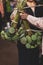 Selling fresh lotus seeds heads at a wet market