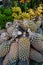 Selling pineapple fruits at rural market