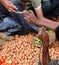 Selling potatoes at the weekly market