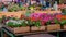 Selling of seedlings of flowers in farmers market. Flower stall