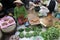 Selling Spices and Herbs at a Traditional Market in Lombok Indonesia