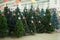 Selling various artificial Christmas trees in the store