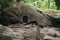 Selomangleng cave is a cave with a historical trail of the Kediri royal figure located in Kediri, East Java, Indonesia. This cave