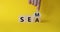 SEM vs SEA symbol. Businessman hand points at turned wooden cubes with words SEA and SEM. Beautiful yellow background. Business