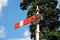 Semaphore railway signal, Hampton Loade.