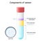 Semen components. Test tube with sperm cells