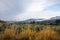 Semi-Arid Grassy and Sagebrush Highland Landscape