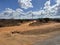 Semi arid vegetation along Nairobi Mombasa highway Kenya, Africa