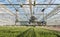 Semi-automatic spraying robot in a greenhouse