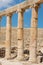 Semi-circle of columns forming a plaza at Jerash.