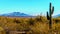 The semi-desert of Four Peaks Wilderness in Arizona